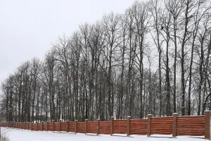 Парк (Домнино)