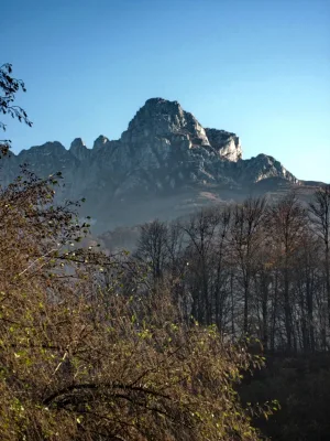 Араухох