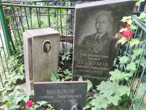 Могила Дмитрия Дмитриевича Шолохова