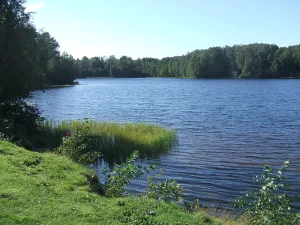 Озера: Большое (Осинорощинское), Глухое, Малое и Среднее (Дворцовое)