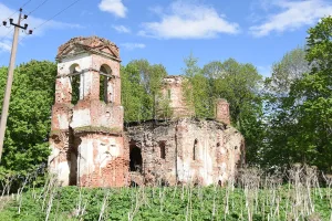 Церковь Рождества Иоанна Предтечи (Мошковые Поляны)