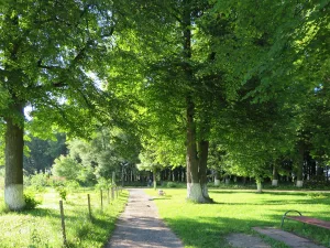 Парк