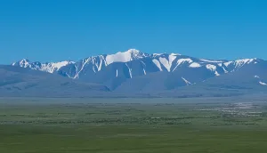 Тесьтой