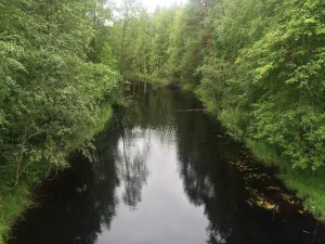 Куржа