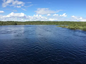 Сегежа