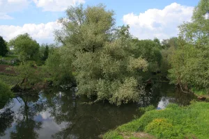 Медынка