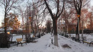 Парк