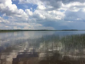 Верхнее Нёлгомозеро