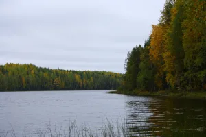 Сухое озеро