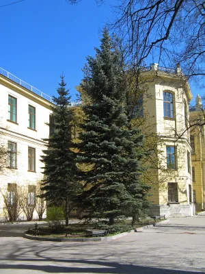 Палисадники (четыре)