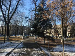 Пушкинский сквер