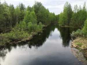 Хедь