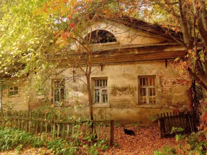 Корпус служб