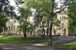 Участок парка