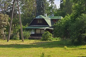 Экономический флигель