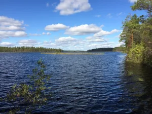 Ригозеро (озеро)