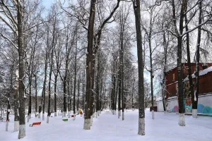 Парковая аллея