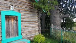 Культовая роща
