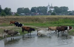 Церковь Троицы Живоначальной