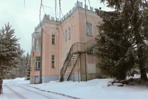 Дом усадебный Таскинена