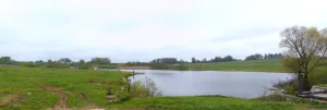 Путынка