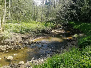 Селиваниха