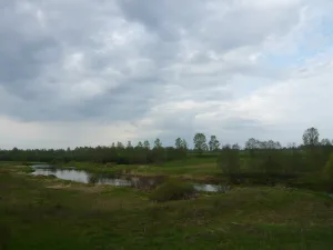 Логовежь