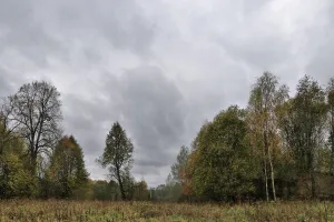 Усадьба Дашковой