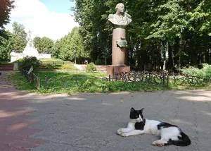 Место боя русских и французских войск