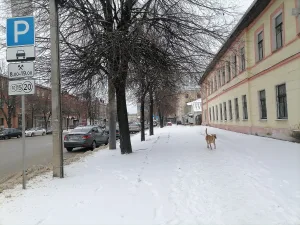 Жилой дом князя А.А. Волконского