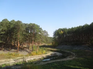 Ключи (приток Туры)