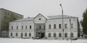 Дом жилой Луковкина с воротами и оградой