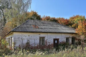 Дом купца Софронова