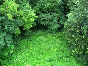 Парк