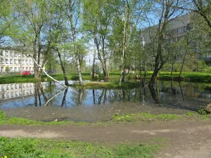 Усадьба Дондуковых-Корсаковых