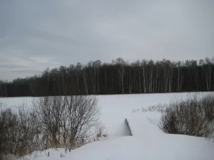 Воронка
