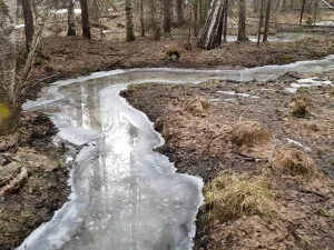 Лобачёвка