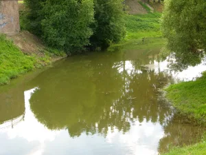 Река Кикенка с притоками