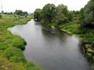 Лопасня