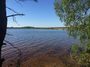 Регоярви
