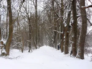 Парк