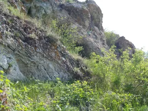 Городище (урочище Соляной Брод)
