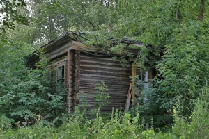 Флигель