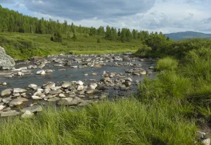 Каракудюр