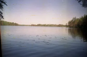 Кодаярви