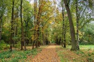 Парк