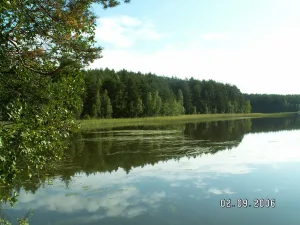 Озеро Нижнее Посадское