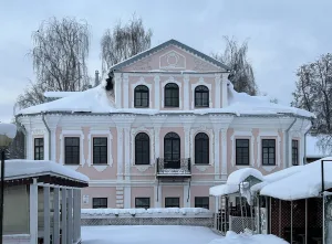 Дом Наледина