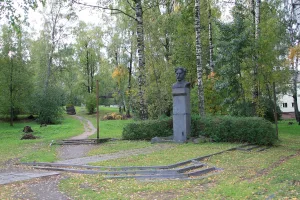 Березовая роща