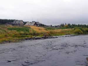 Муна